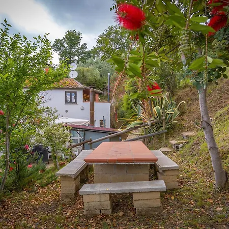 Il Badalo Κατάλυμα σε φάρμα Riparbella