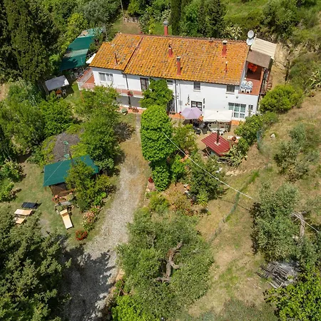 Agroturismo Il Badalo Riparbella